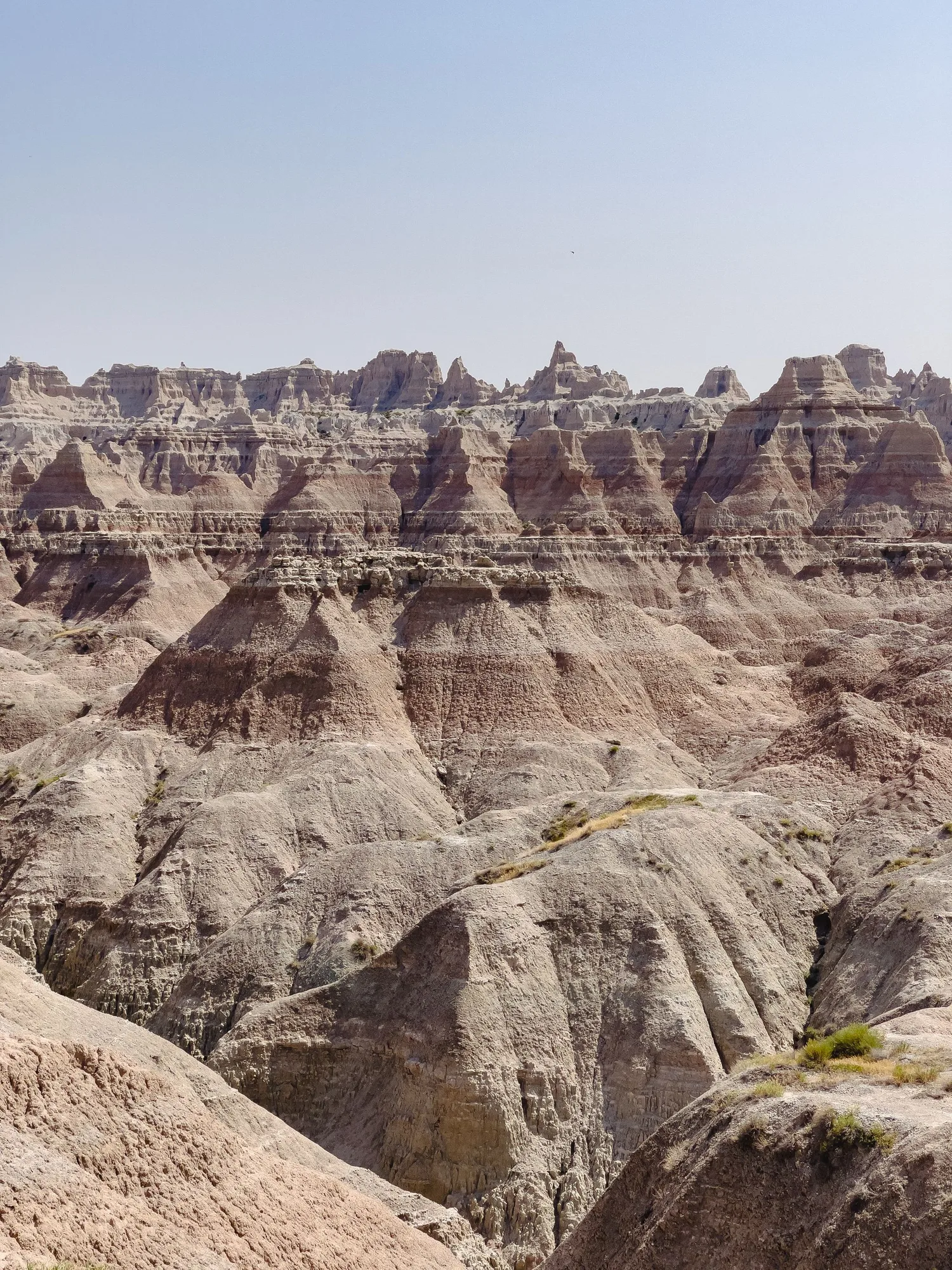 Prairie grassland at Badlands National Park