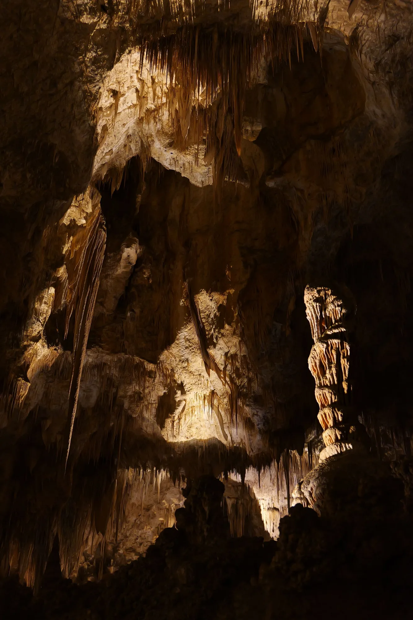 Capitan Reef limestone formations at Carlsbad Caverns National Park