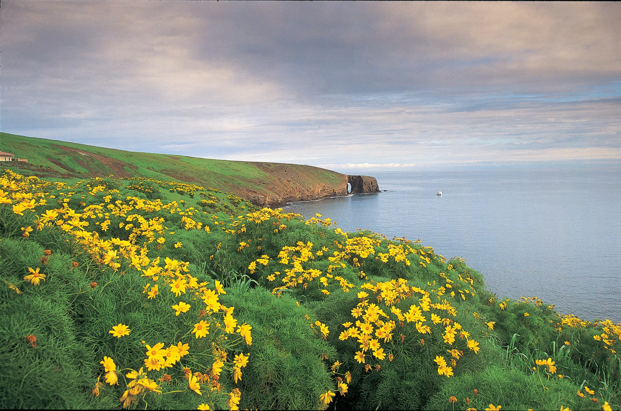 Coastal waters near Inspiration Point, Anacapa Island, Channel Islands National Park
