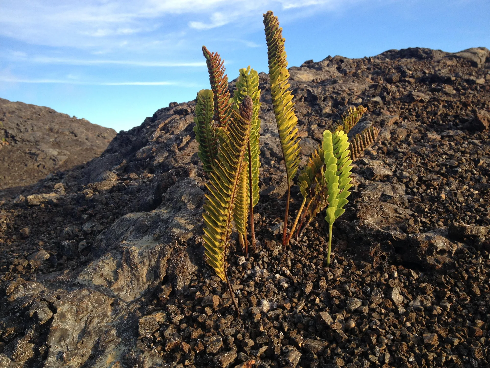 Mauna Loa summit trail, Hawaii Volcanoes National Park