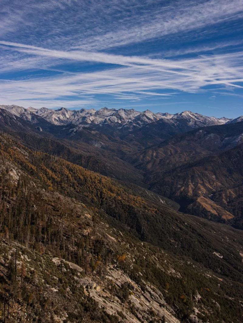 Forest terrain, Kings Canyon National Park