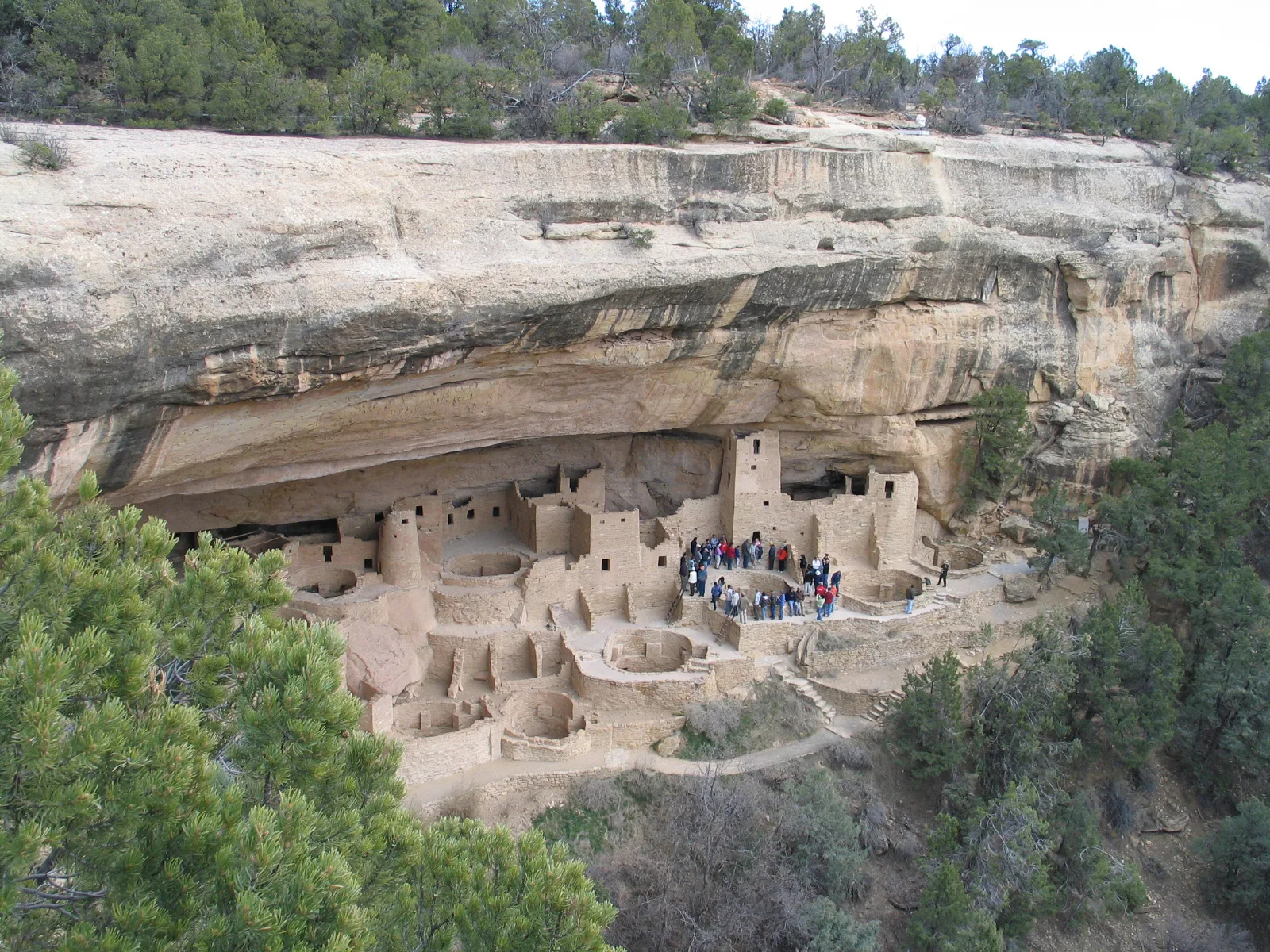 Fire-affected landscape at Mesa Verde National Park