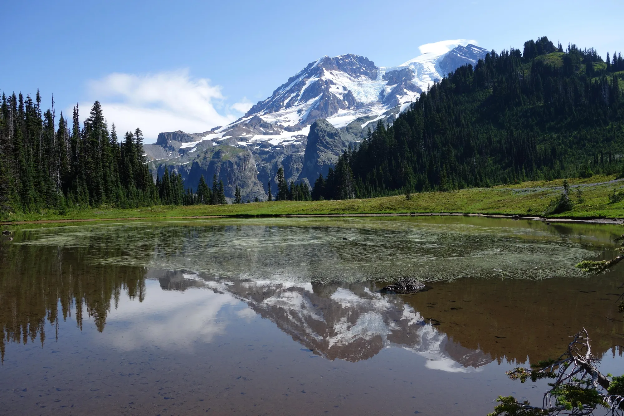 Burroughs Mountain trail overlooking the Emmons Glacier, Mount Rainier National Park