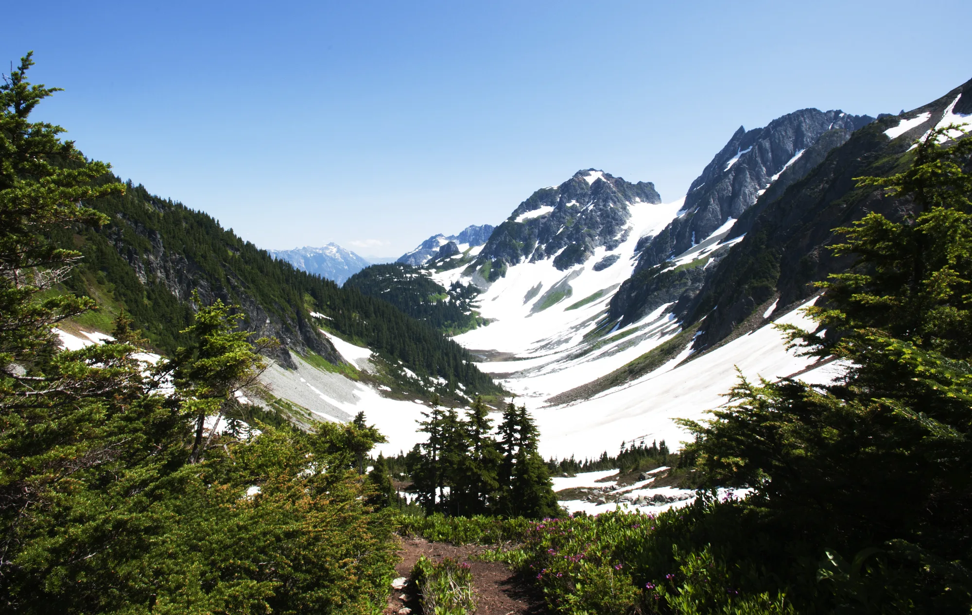Remote wilderness terrain under study for grizzly bear restoration, North Cascades National Park, Washington