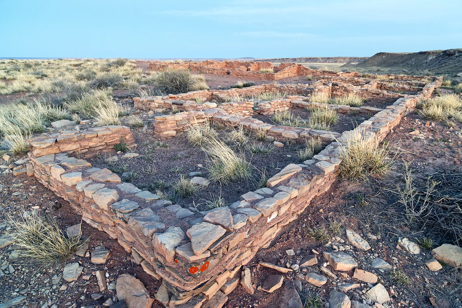 Crystal Forest trail petrified logs at Petrified Forest National Park, Arizona