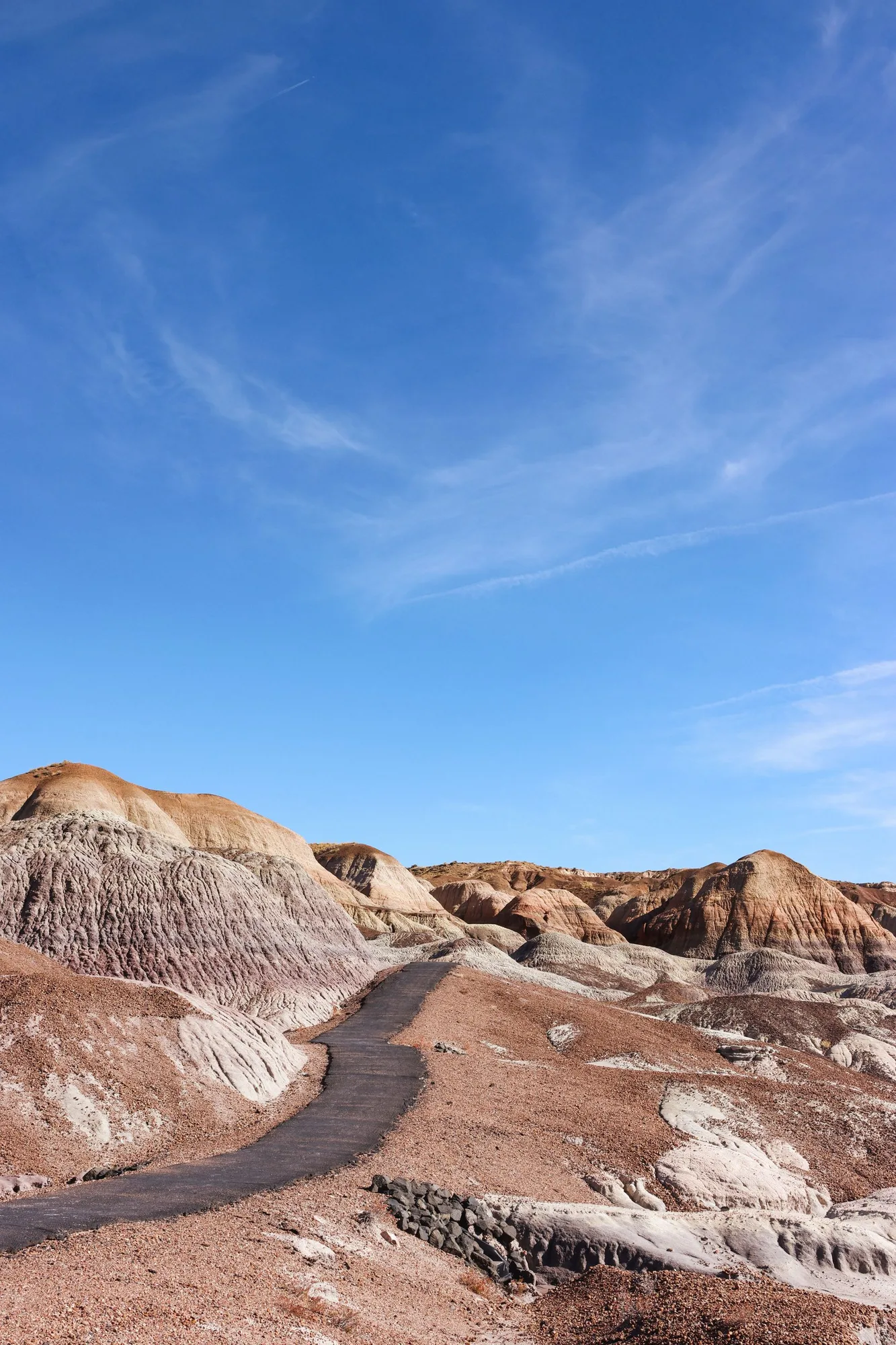 Painted Desert landscape at Petrified Forest National Park, Arizona