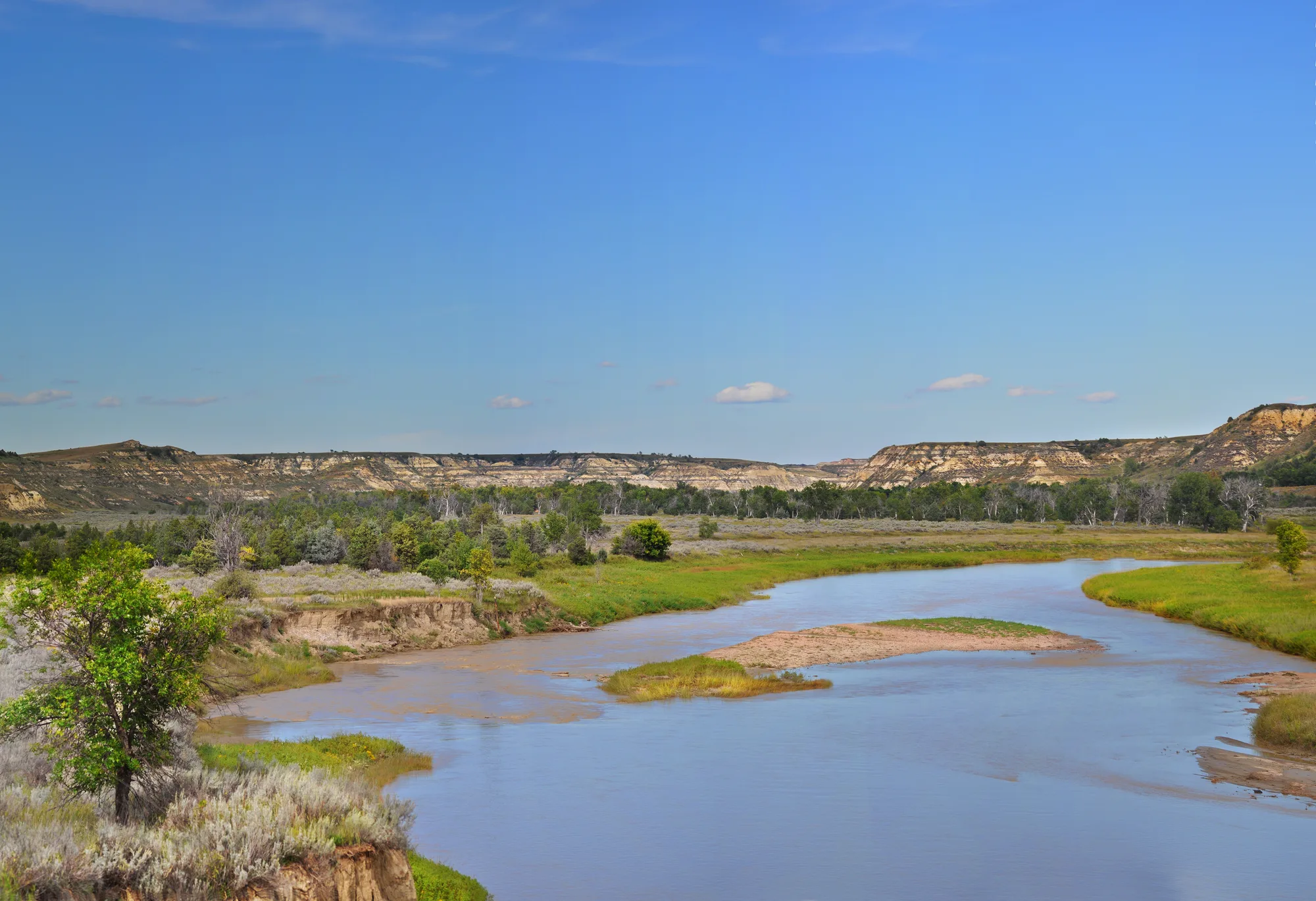 Bison in the badlands, Theodore Roosevelt National Park