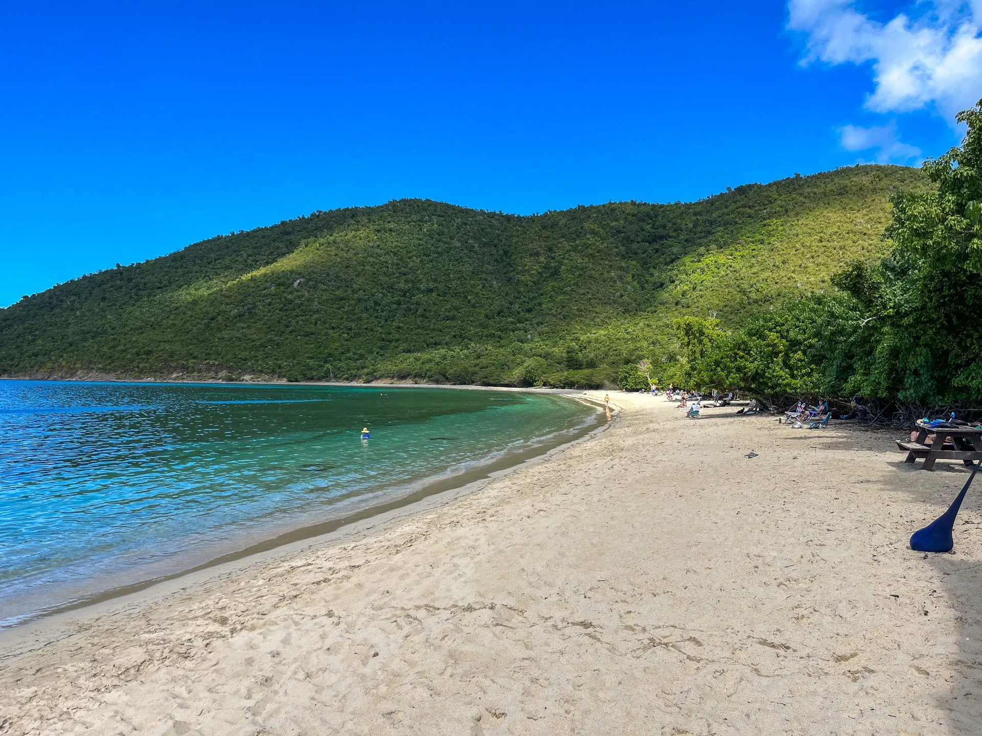 Mangrove-lined shoreline in Virgin Islands National Park, St. John