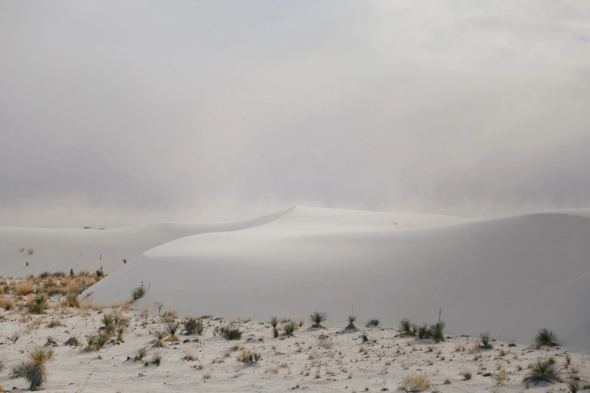 Alkali Flat playa at White Sands National Park, site of the ancient human footprint trackways