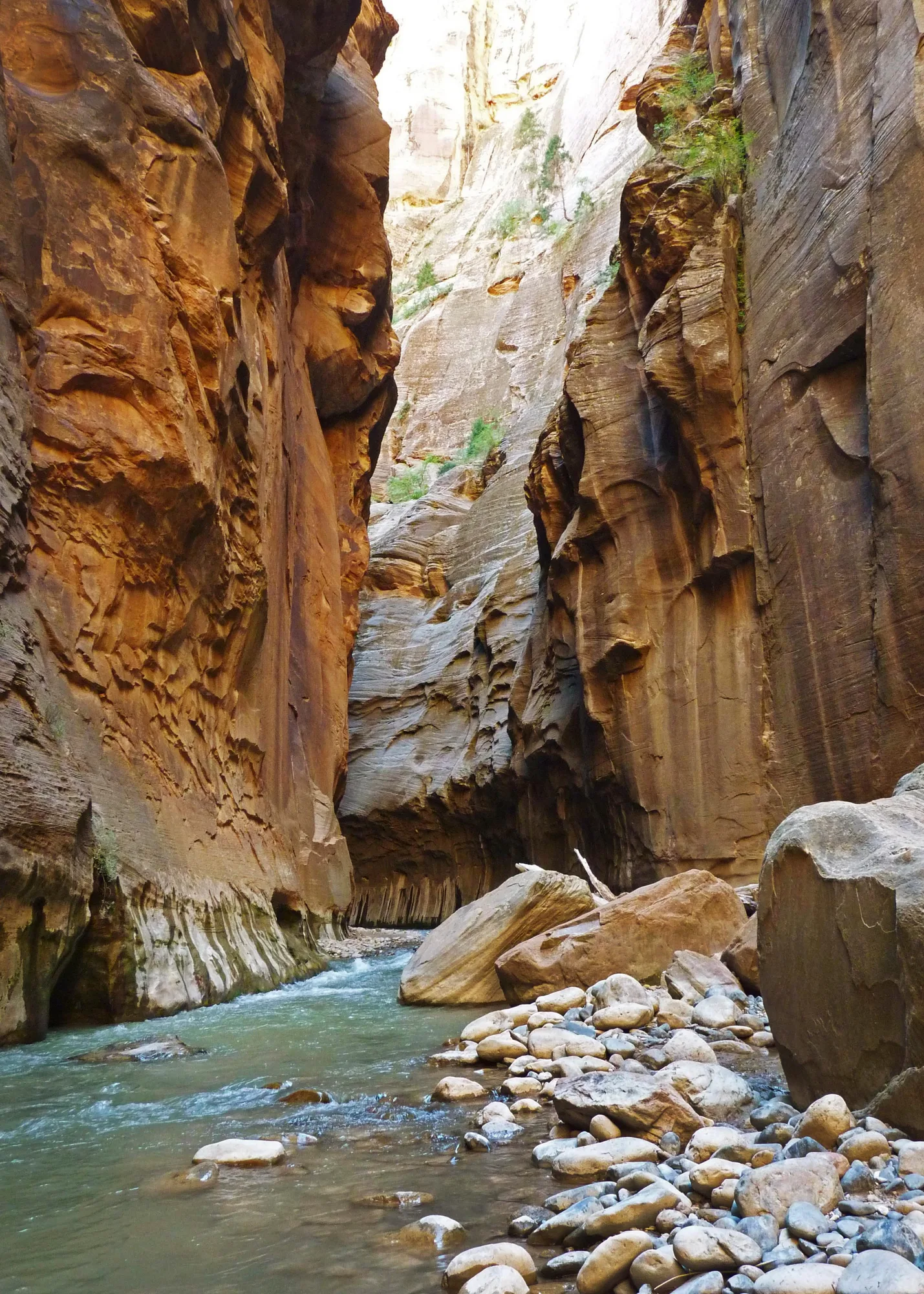 Towering canyon walls above the Virgin River in Zion National Park